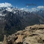 Merfez Explained: The SEO Word Nobody Can Define
